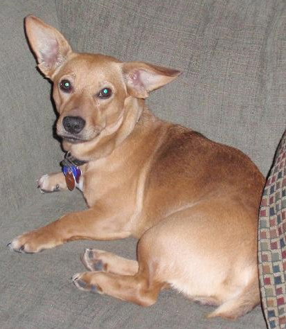 Roxanne
