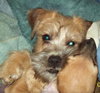 Rusty