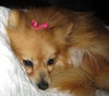 Missy Mae