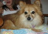 Missy Mae