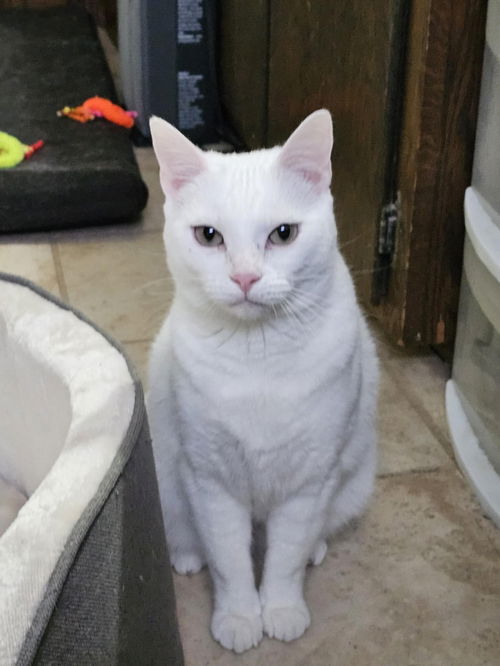 Margo