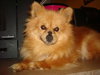 Annie