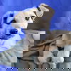 Neutron