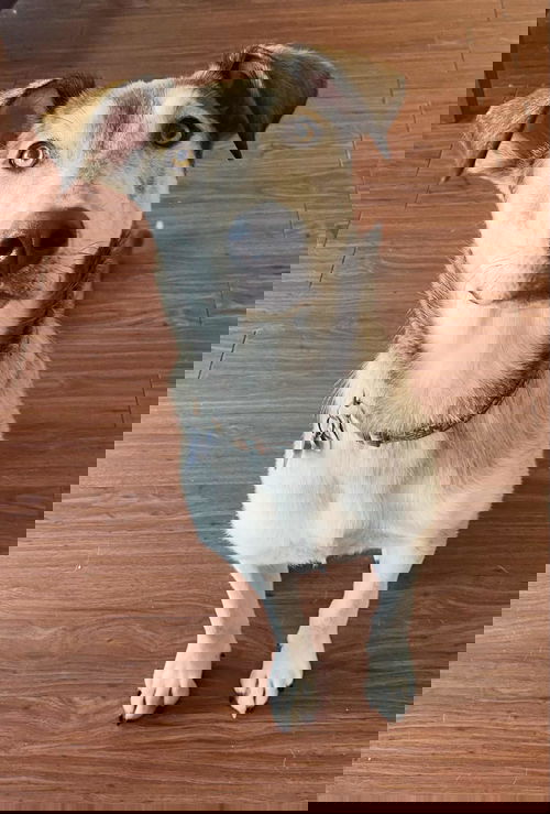 Indra