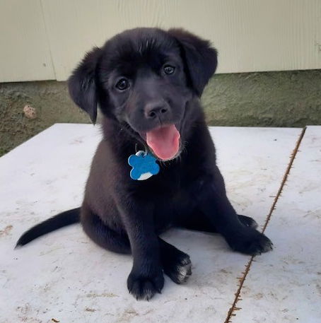 Tiny