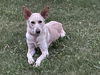 *Selene  Vacation Foster Needed 8/3-8/10