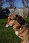 Ruby