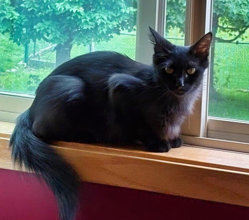 Hera