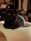 Hera