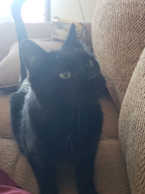 Lucy