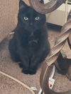 Lucy
