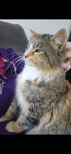 Cleopatra