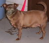Penny
