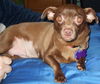 Penny