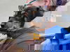 Theta