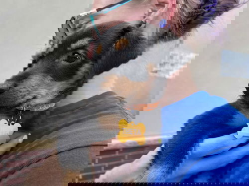 Theta