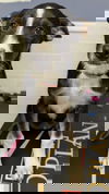 Flair
