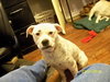 Bosley