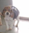Billy