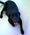 Stanley