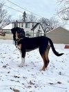 Boone Vacation Foster Jan 10-16