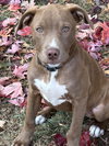 Lilah