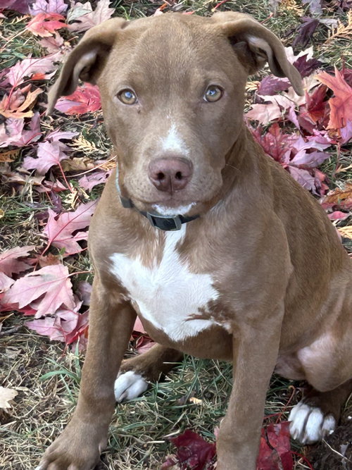 Lilah