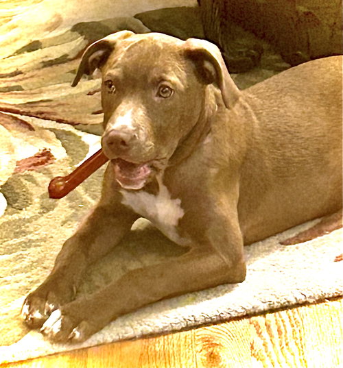 Lilah