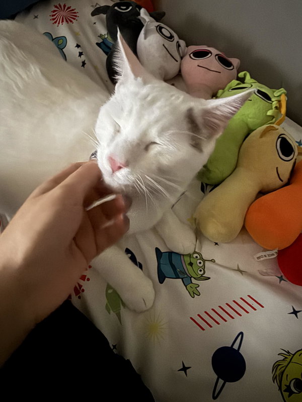 SeeBee