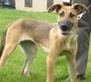 Meggan - Sweeter then sugar!