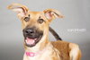 Meggan - Sweeter then sugar!