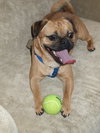 Slugger