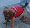 Chuck
