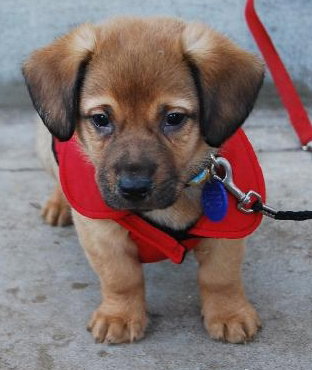 Chuck