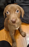 Twix