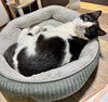 Duncan