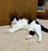 Duncan