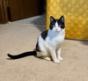 Duncan