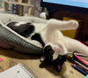 Duncan