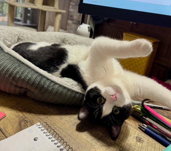 Duncan