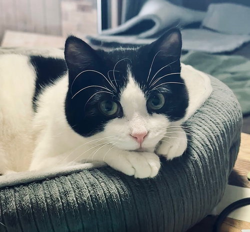 Duncan