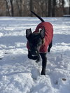 Sebastian