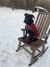 Sebastian