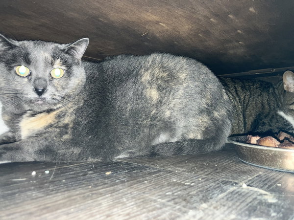 Beamer and Twix