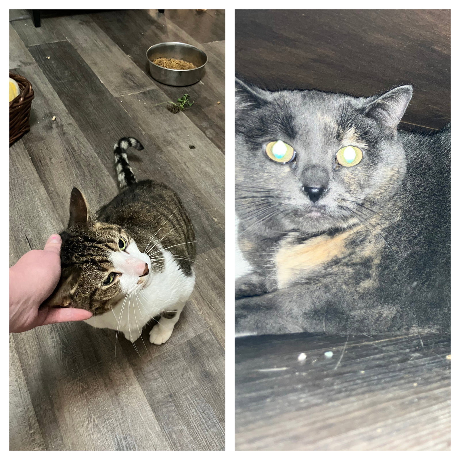 Beamer and Twix