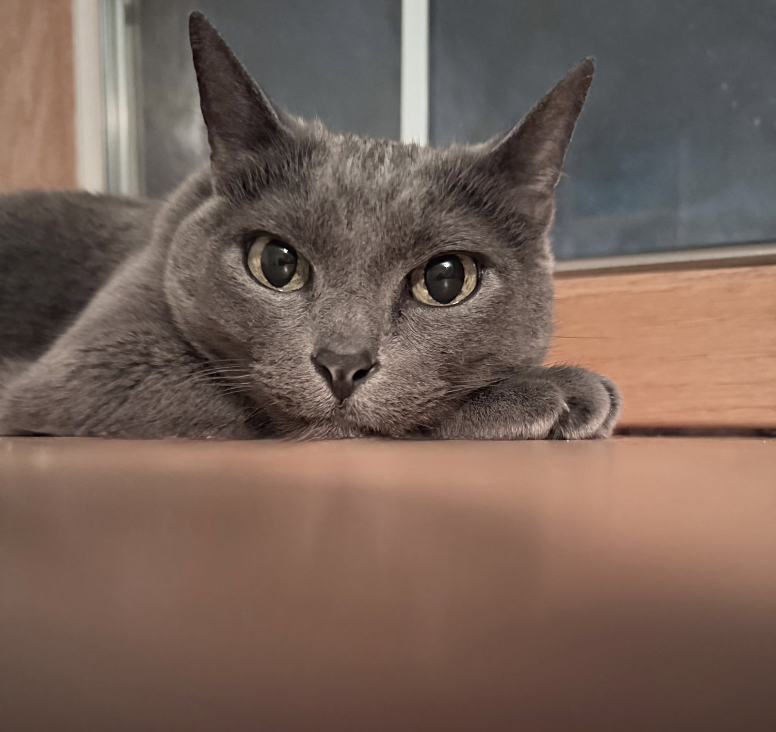 Esther