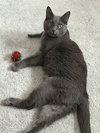 Esther