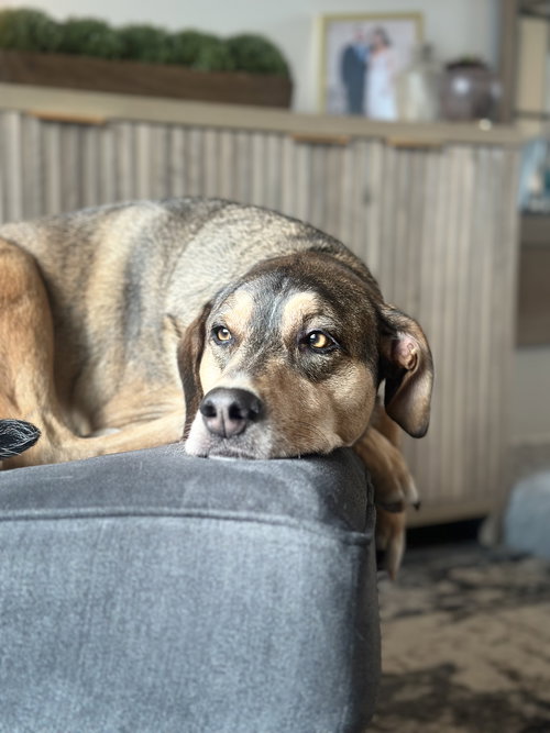 Ruger