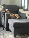 Ruger