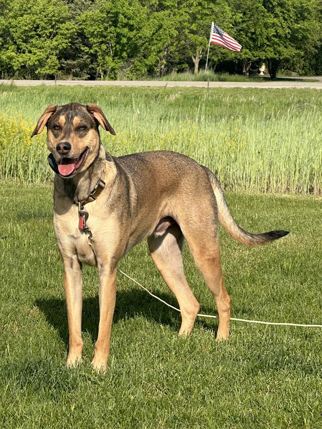 Ruger Image